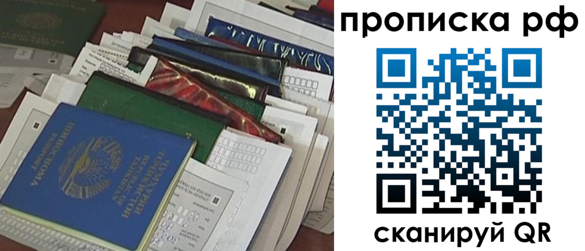 прописка в Раменском
